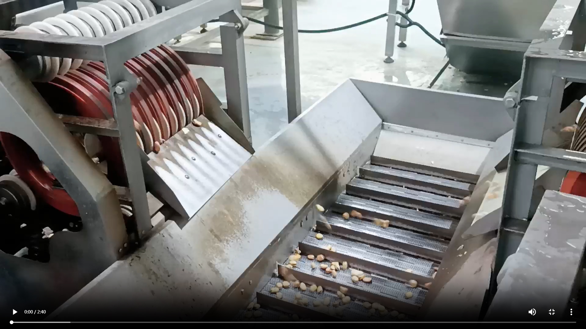 蠶豆油炸生產線