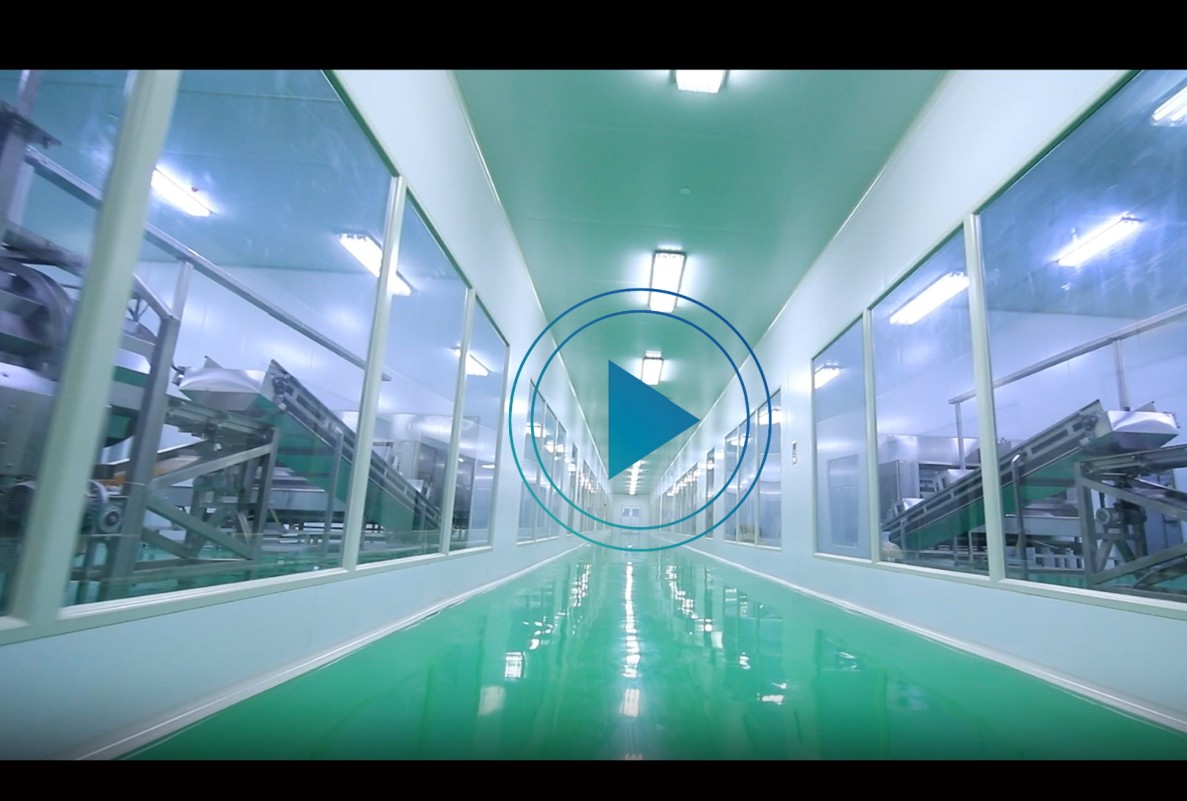 調(diào)味果仁烘烤生產(chǎn)線